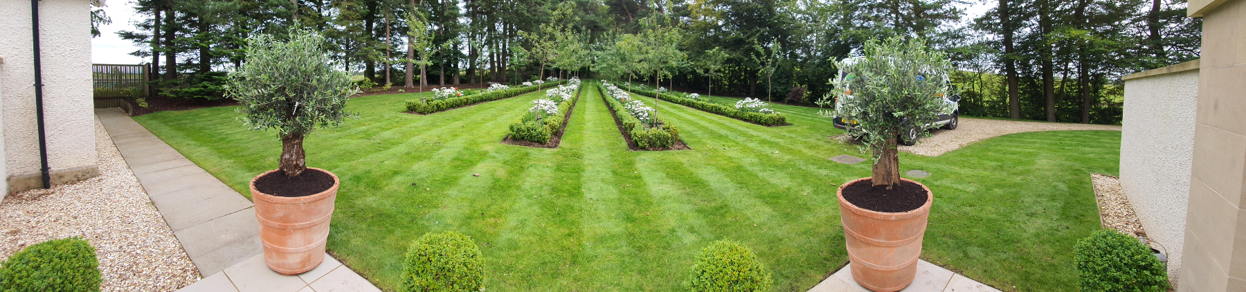a green garden with flower beds